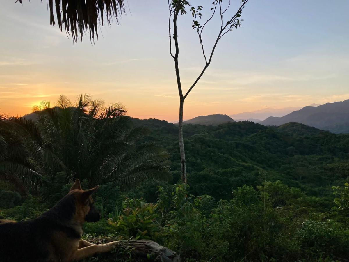 豪華帳篷 La Cima Tayrona Santa Marta (Magdalena)