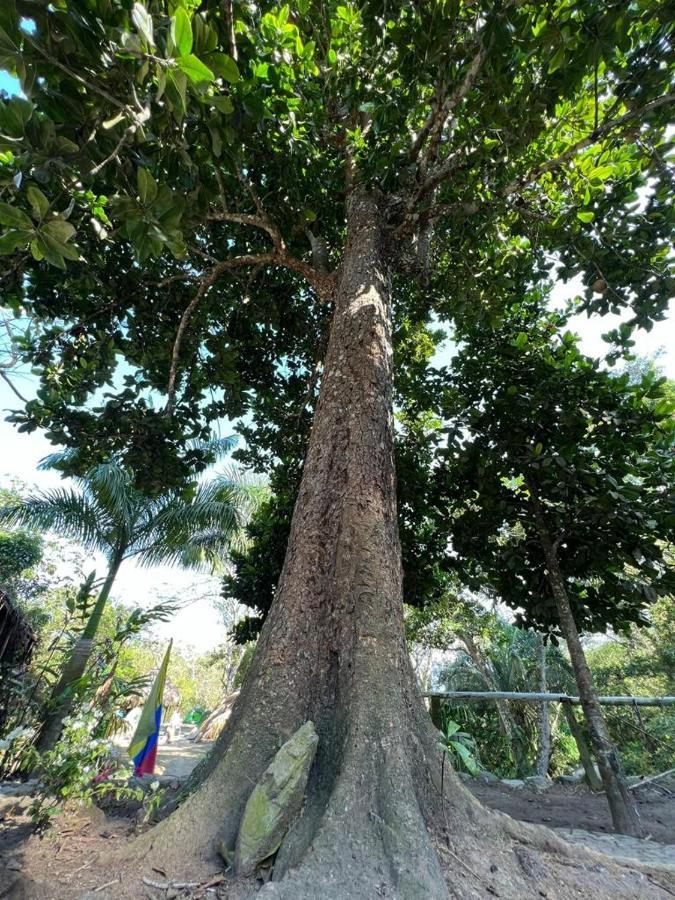 La Cima Tayrona Luxuszelt Santa Marta (Magdalena)