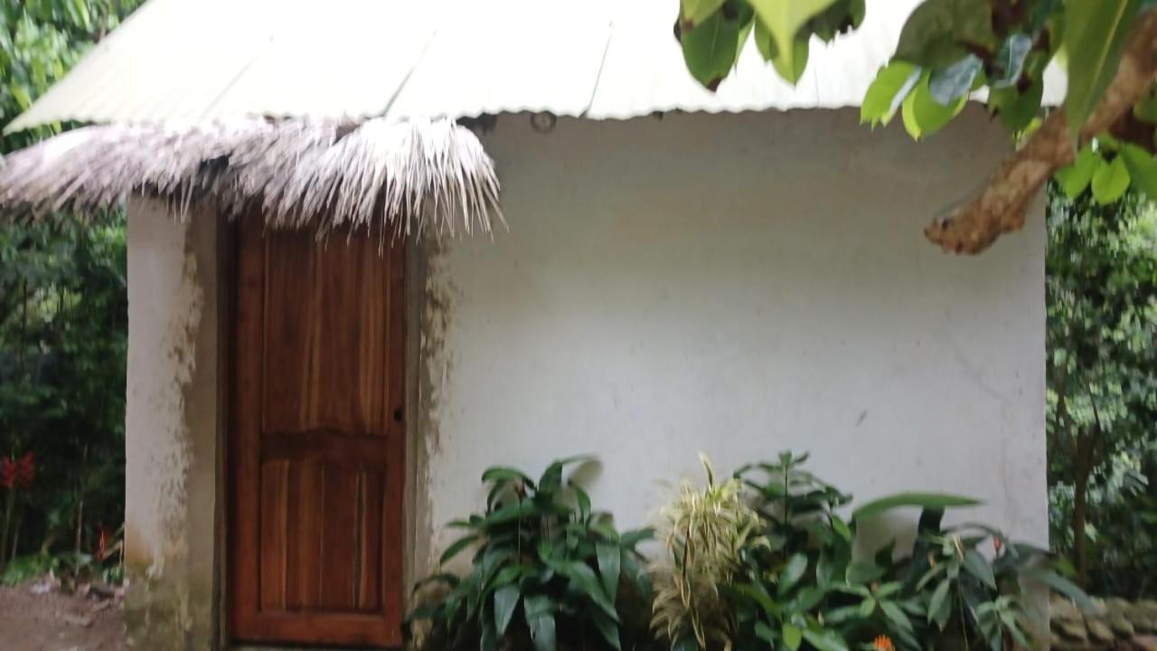 La Cima Tayrona *