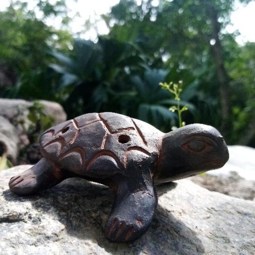 La Cima Tayrona * Santa Marta (Magdalena)