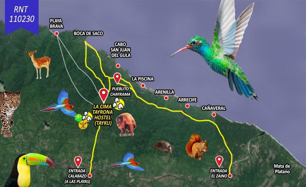 豪華帳篷 La Cima Tayrona *