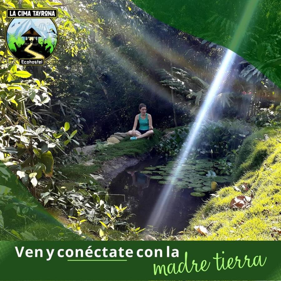 豪華帳篷 La Cima Tayrona *